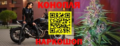 шишки Ирбит