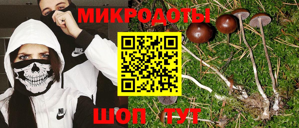 Псилоцибиновые грибы Psilocybine cubensis Медногорск