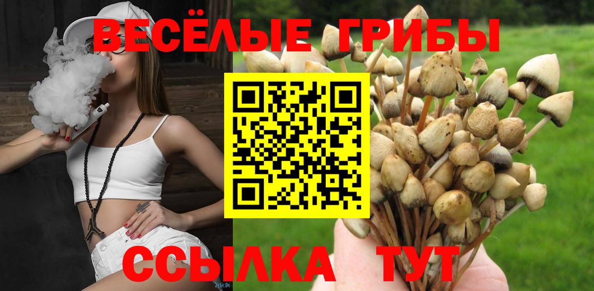 Галлюциногенные грибы Psilocybine cubensis  Вход с VPN  Медногорск 