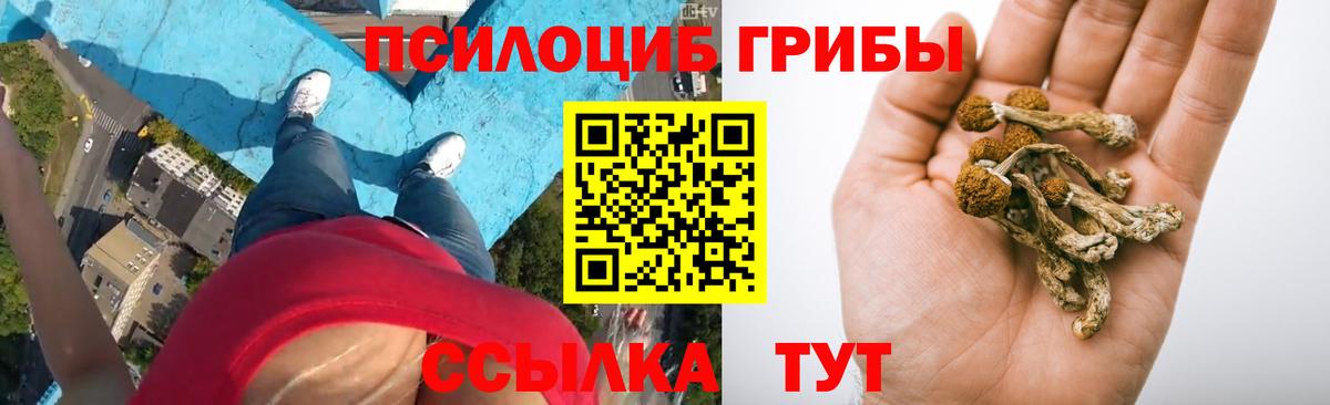 АМФЕТАМИН Медногорск